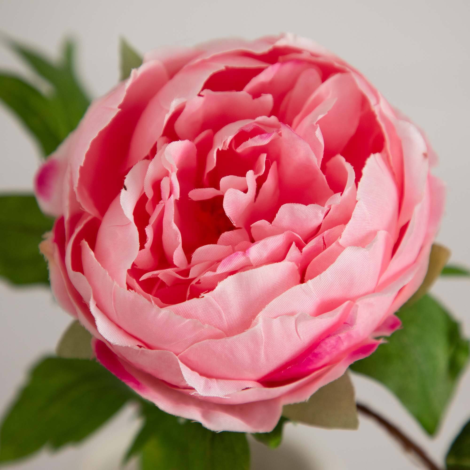 20" Pink Peony Flower Stems, 3ct.